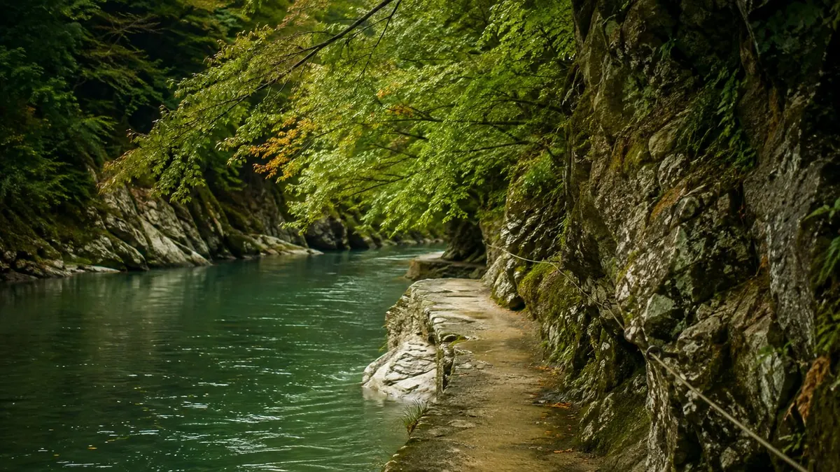 亀岡と嵐山の間を竿と櫂で操る、平底の保津川下りの船